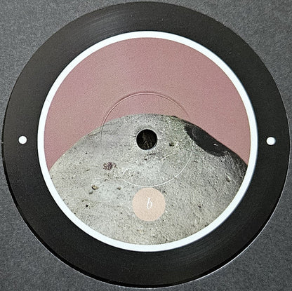 Rrose - Please Touch (12") | Near Mint (NM) Generic