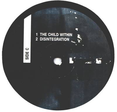 Diego - The Persuasion Channel (2xVINYL) | Very Good Plus (VG+) Very Good Plus (VG+)
