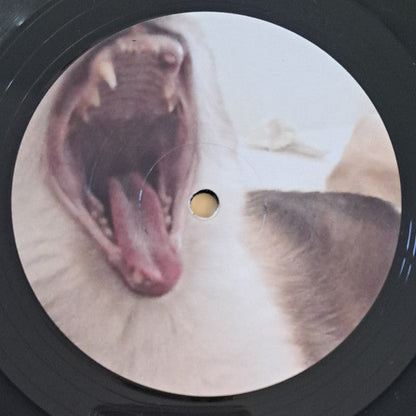 Habe Ich Gewonnen? | Mint (M) Mint (M)