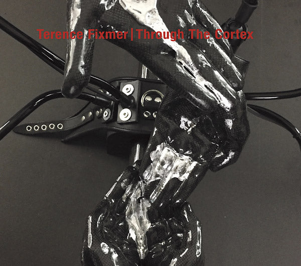 Through The Cortex |