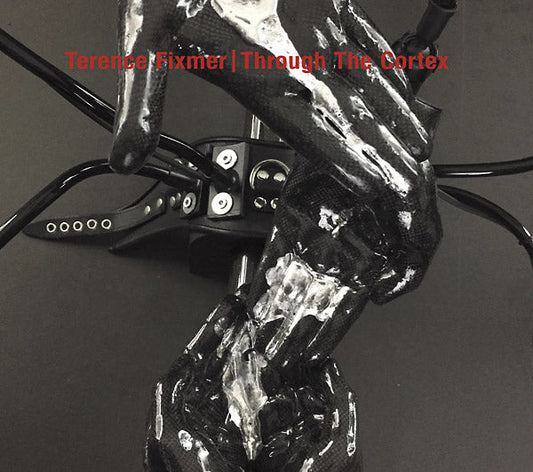 Through The Cortex |