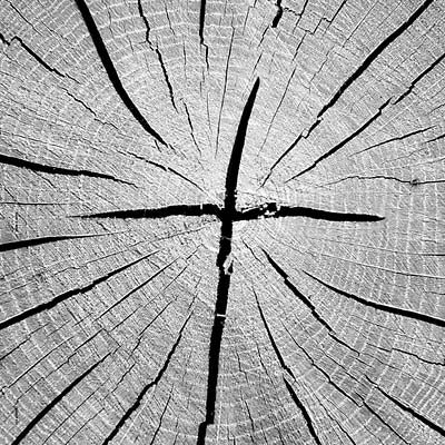 The Best of That's Why |