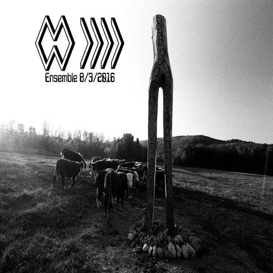 Ensemble 8/3/2016 |