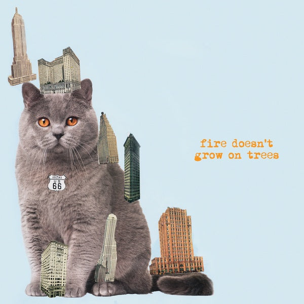 Fire Doesn't Grow On Trees |