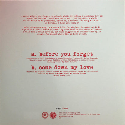 Before You Forget / Come Down My Love | Mint (M) Mint (M)