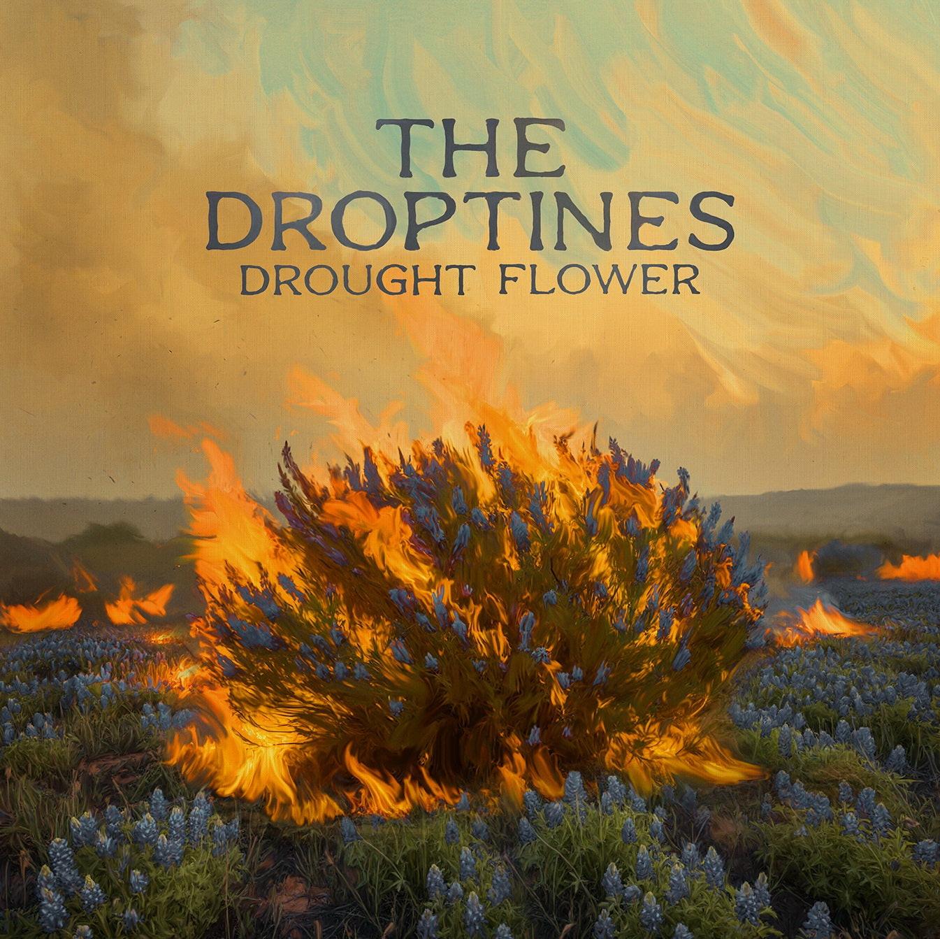 The Droptines - Drought Flower [LP] |