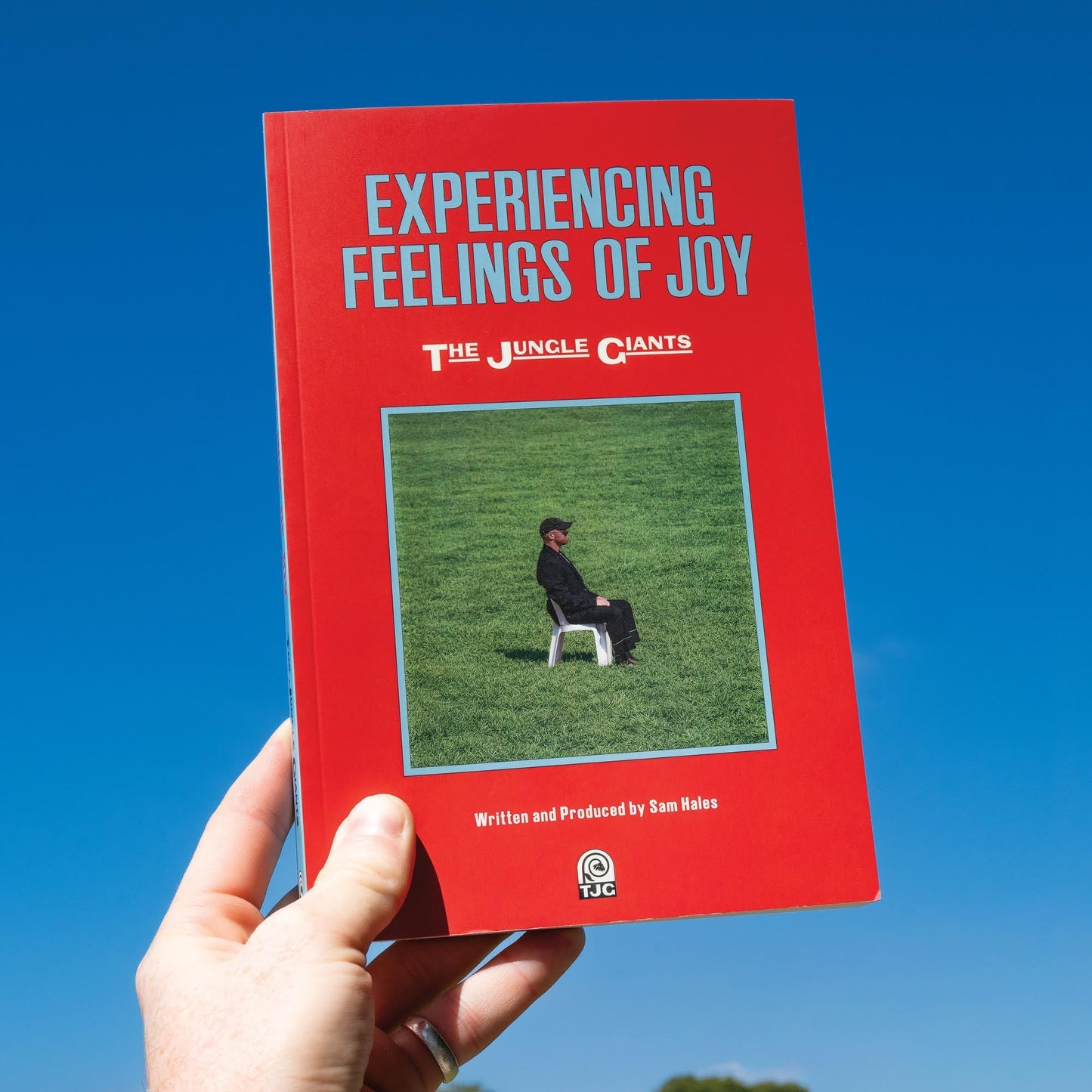The Jungle Giants - Experiencing Feelings Of Joy |