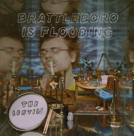 Brattleboro Is Flooding |