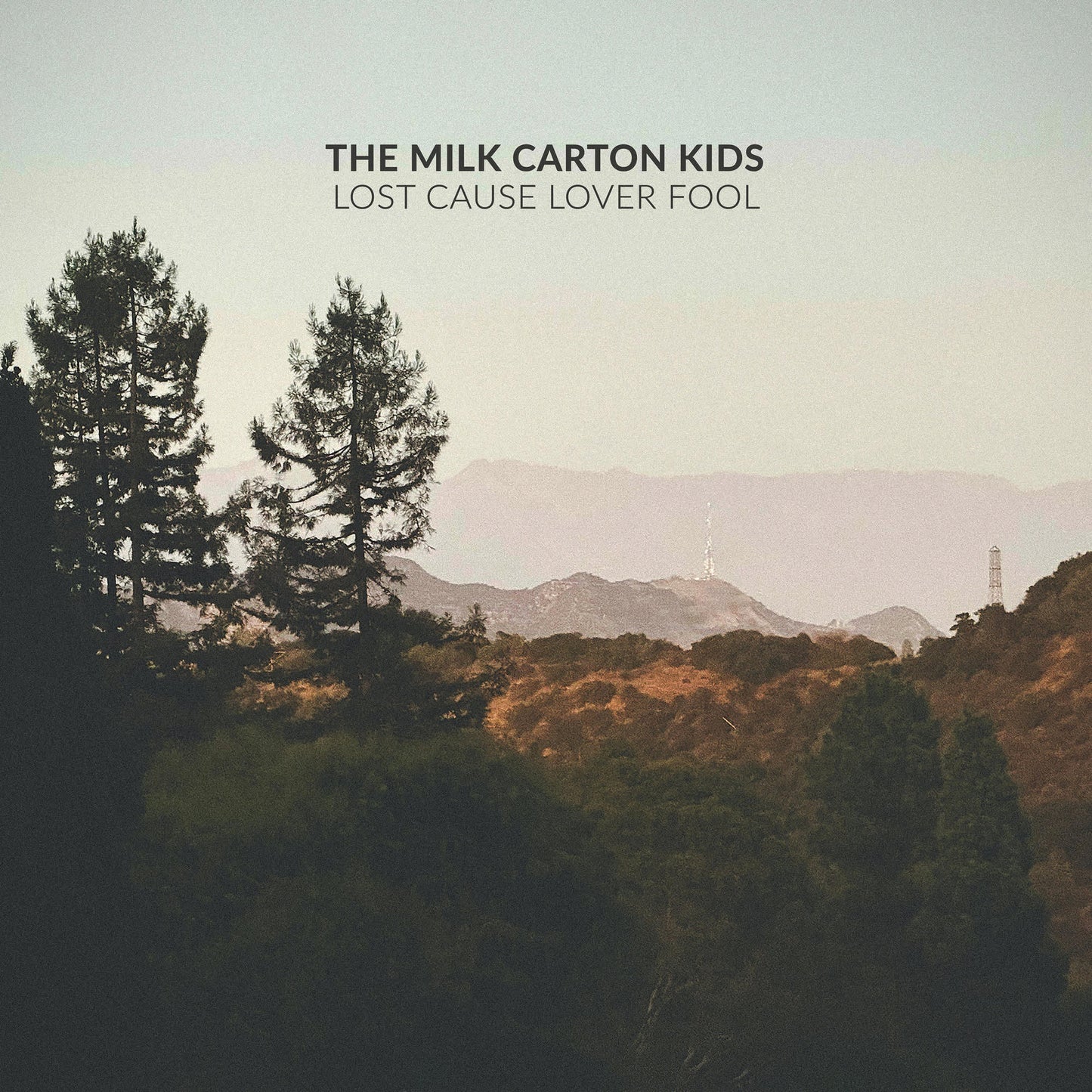 Lost Cause Lover Fool (VINYL) |