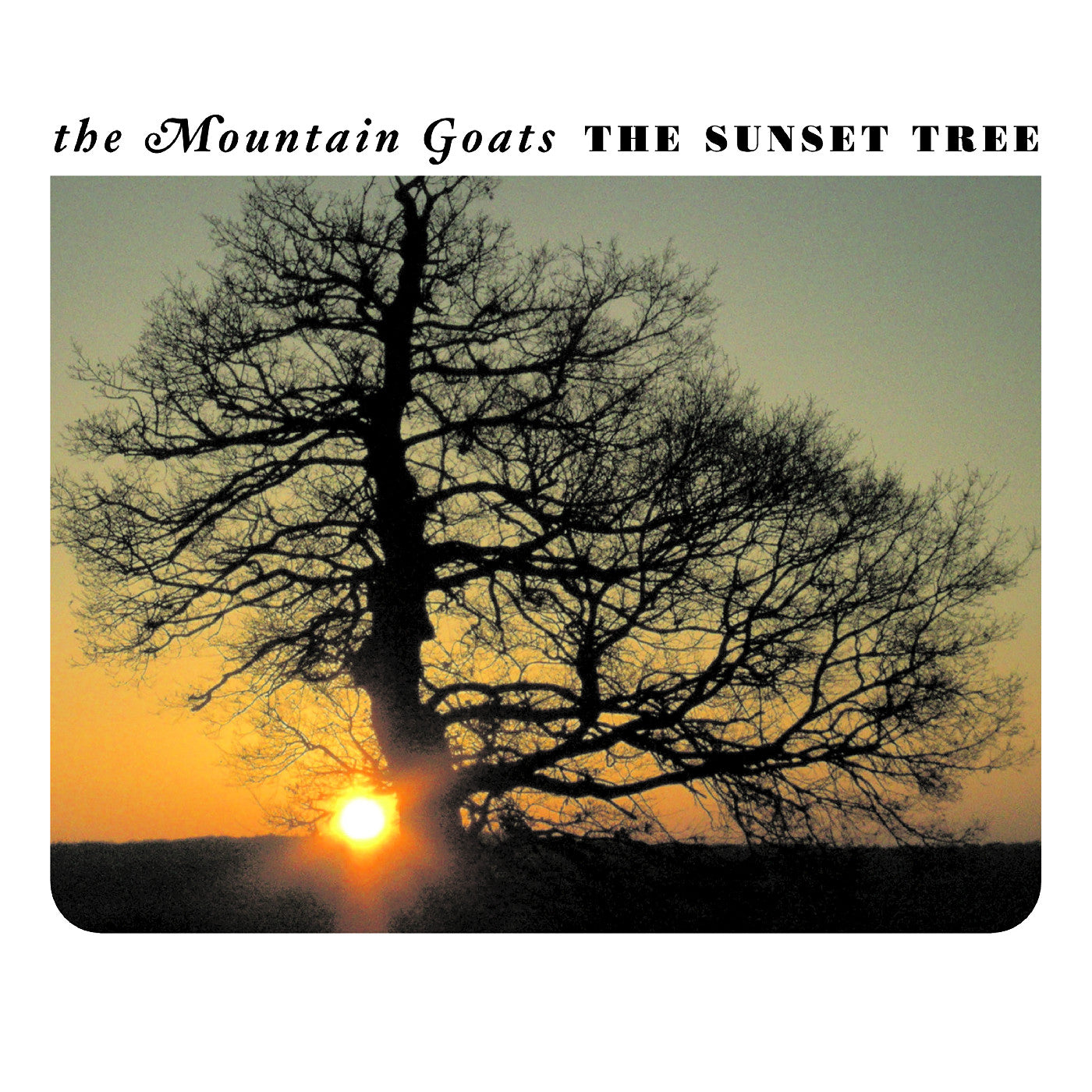 The Sunset Tree (20th Anniversary Remaster Apricot VINYL) | Mint (M) Mint (M)
