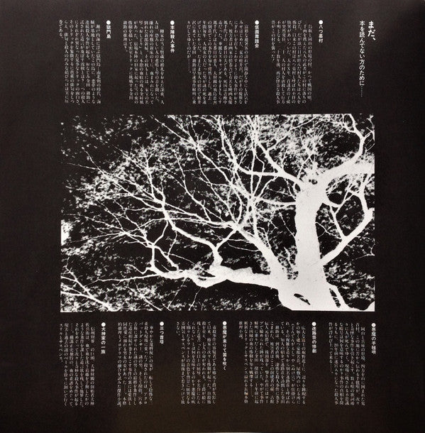 The Adventures Of Kosuke Kindaichi | Mint (M) Mint (M)