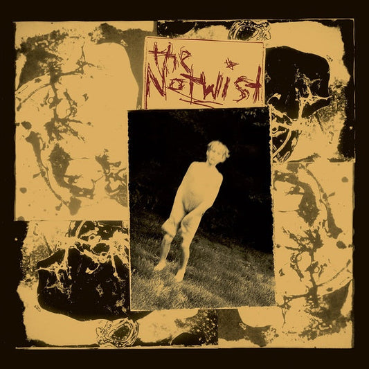 The Notwist (30 Year Anniversary Edition) |