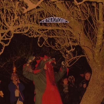 Does This Guy Stack Up? |