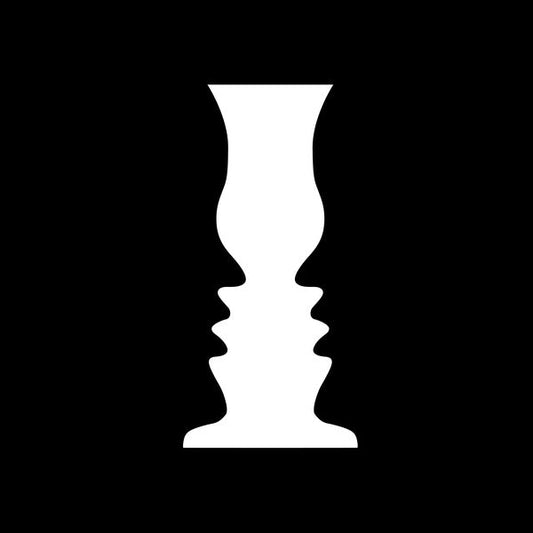 The Sensory Illusions |