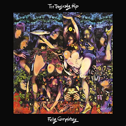 Fully Completely [30th Anniversary Deluxe 3 LP/Blu-ray Box Set] |