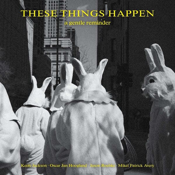 These Things Happen - A Gentle Reminder [LP] |