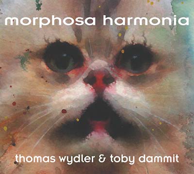 Morphosa Harmonia |