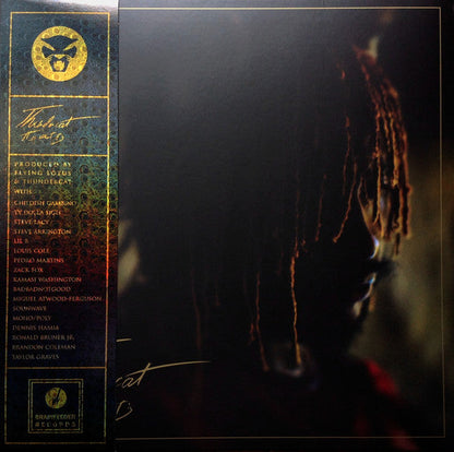 Thundercat - It Is What It Is (RED VINYL) | Mint (M) Mint (M)