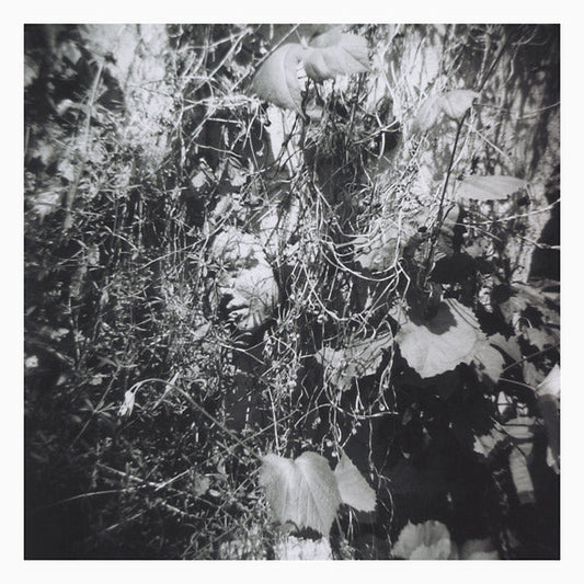 Now Is The Last Best Time |