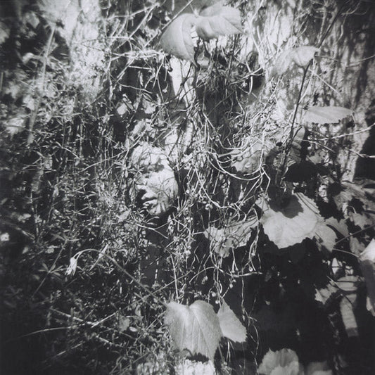 Now Is The Last Best Time |