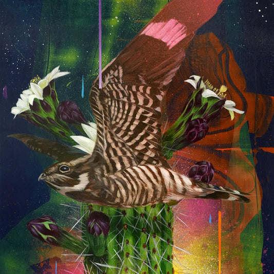 Playa Larga / 1900 Ocean Ave |