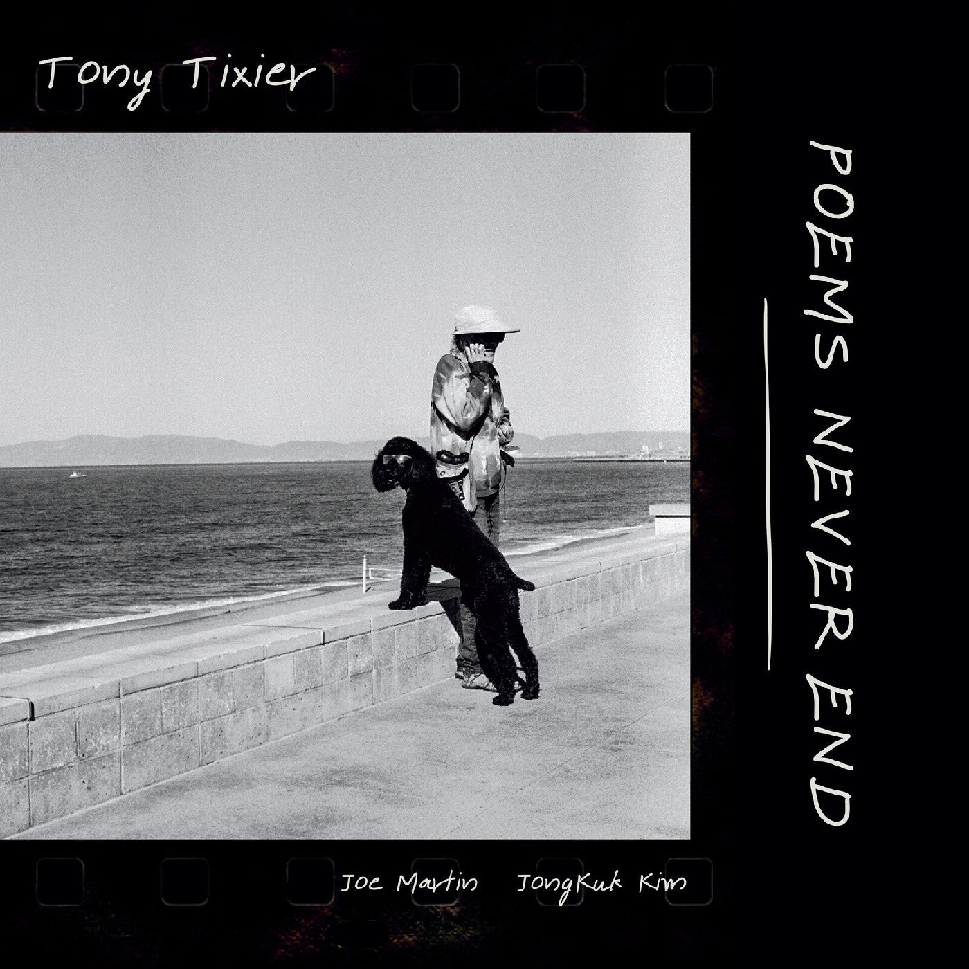Poems Never End (VINYL) | Mint (M) Mint (M)