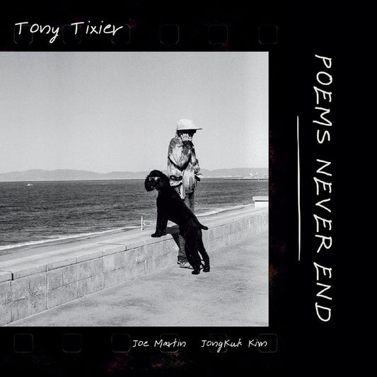 Poems Never End (VINYL) | Mint (M) Mint (M)