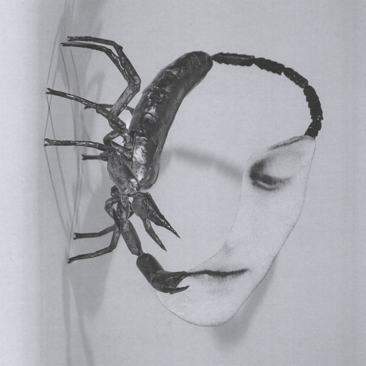 Tortoise - Touch [140 Gram Black Vinyl] |