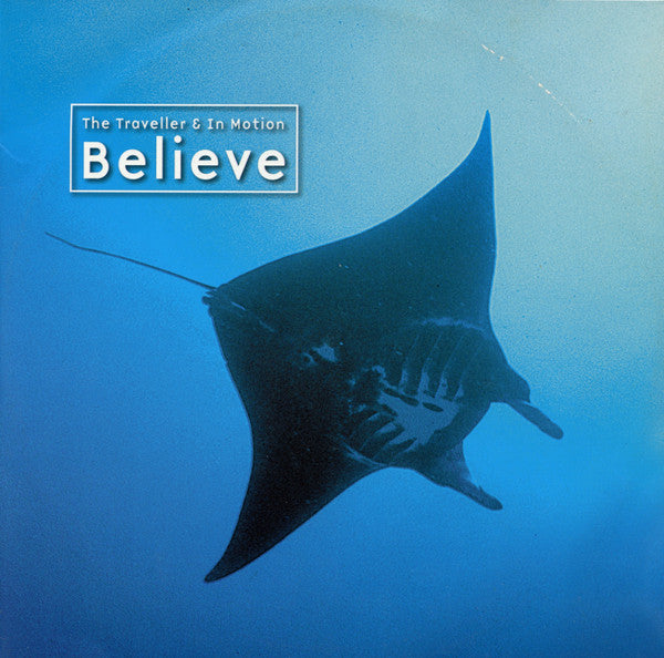 The Traveller - Believe (12" VINYL) | Near Mint (NM) Near Mint (NM)