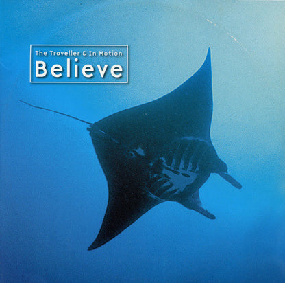 The Traveller - Believe (12" VINYL) | Near Mint (NM) Near Mint (NM)