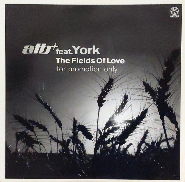 ATB - The Fields Of Love (12" VINYL) | Very Good Plus (VG+) Excellent (EX)