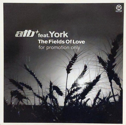 ATB - The Fields Of Love (12" VINYL) | Very Good Plus (VG+) Excellent (EX)