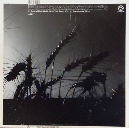 ATB - The Fields Of Love (12" VINYL) | Very Good Plus (VG+) Excellent (EX)