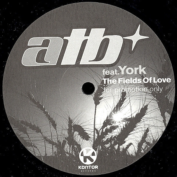 ATB - The Fields Of Love (12" VINYL) | Very Good Plus (VG+) Excellent (EX)