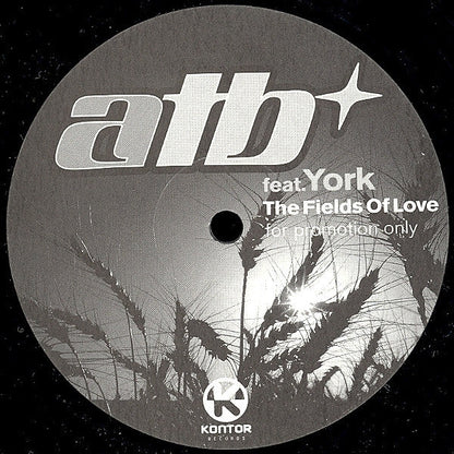 ATB - The Fields Of Love (12" VINYL) | Very Good Plus (VG+) Excellent (EX)
