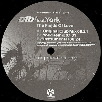 ATB - The Fields Of Love (12" VINYL) | Very Good Plus (VG+) Excellent (EX)