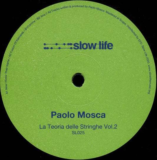 Paolo Mosca La Teoria Delle Stringhe Vol. 2 12" Mint (M) Generic