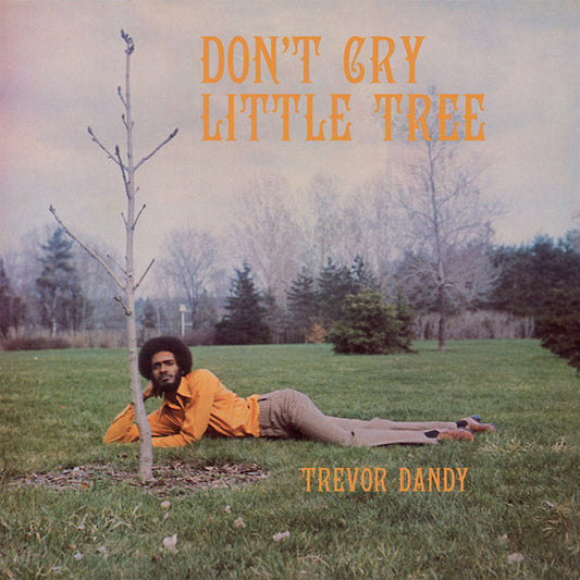 Don't Cry Little Tree (VINYL) | Mint (M) Mint (M)