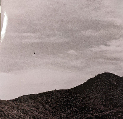 "Hello, Hi" (VINYL) | Mint (M) Mint (M)