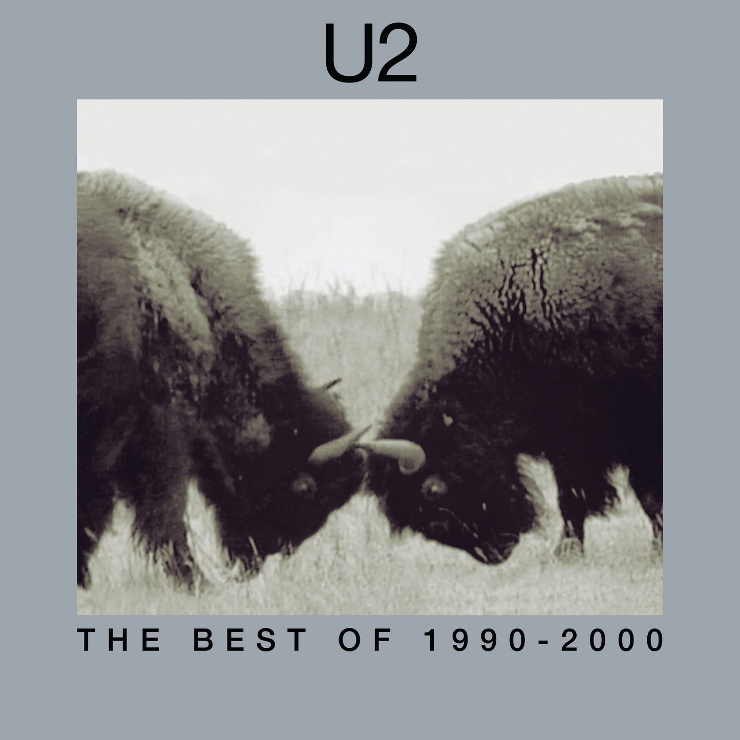 The Best Of 1990-2000 (180 Gram Vinyl) (2 Lp's) | Mint (M) Mint (M)