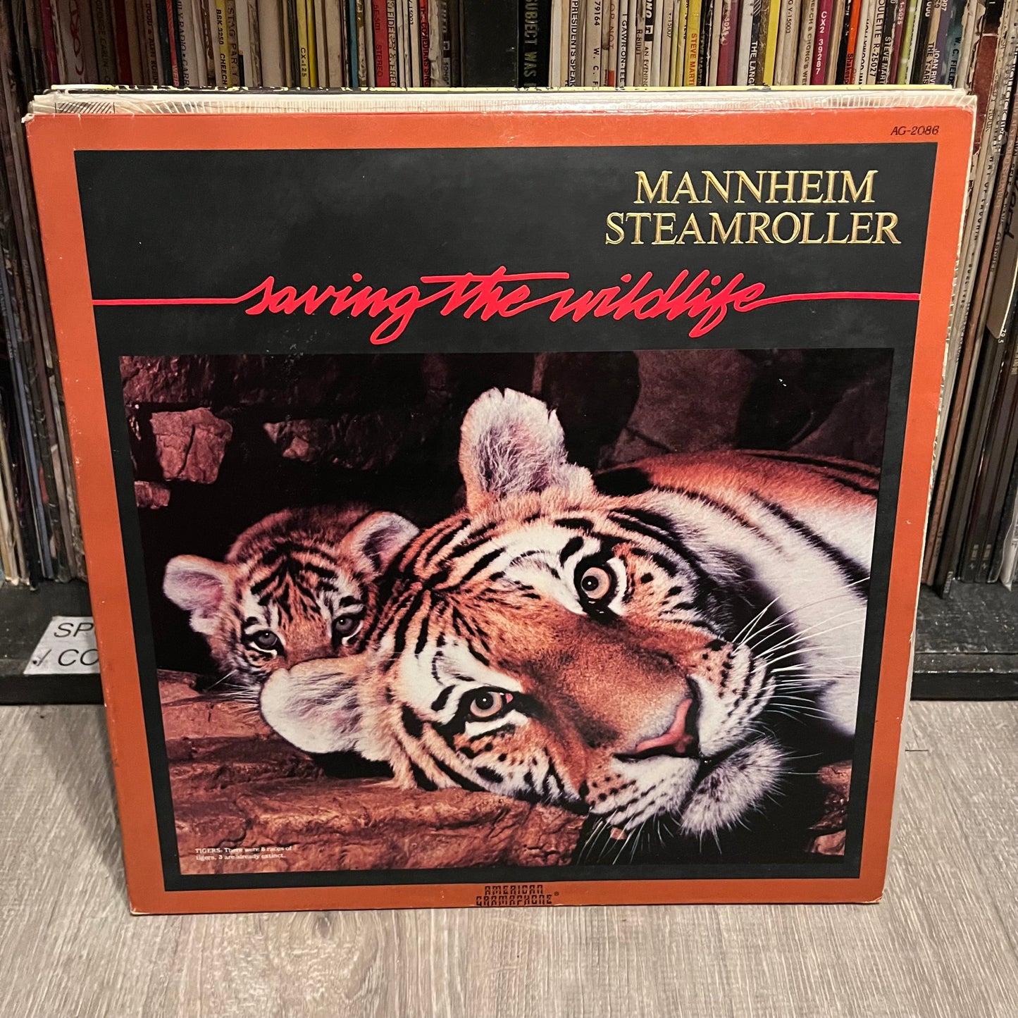 VARIOUS - 10 CLASSICAL RECORDS / VINYL (EX COND - LIST IN DESCRIPTION) | Excellent (EX) Excellent (EX)