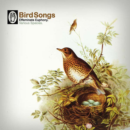 Bird Songs |