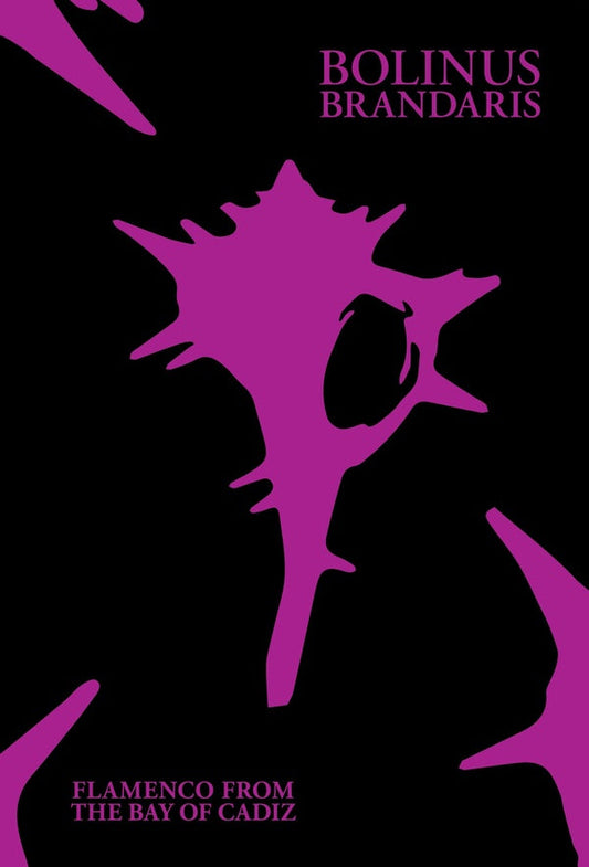 Bolinus Brandaris: Flamenco from the Bay of Cadiz |