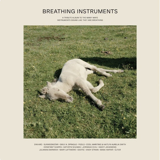 Breathing Instruments |