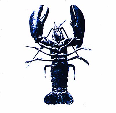 Double Articulation: Folds & Rhizomes Remix Project |