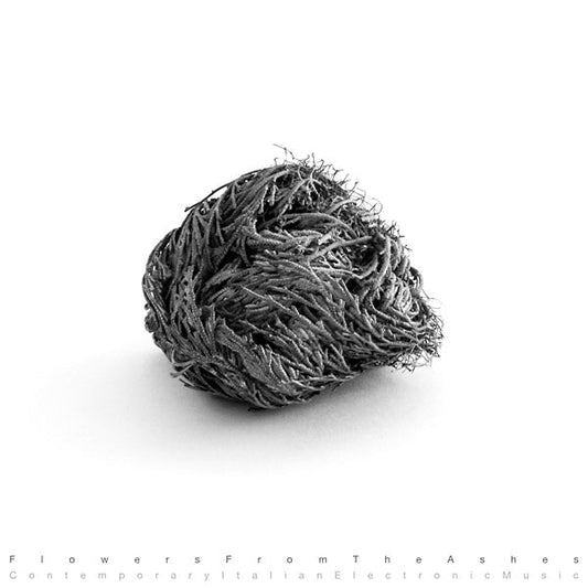 Flowers From The Ashes: Contemporary Italian Electronic Music [Import] (VINYL) | Mint (M) Mint (M)