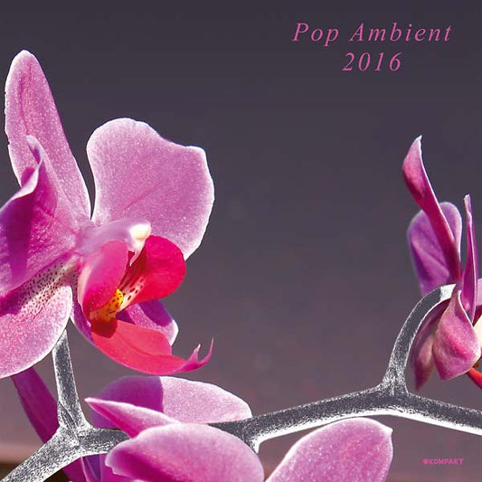 Pop Ambient 2016 |