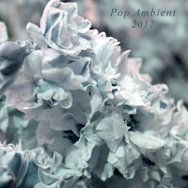 Pop Ambient 2017 |