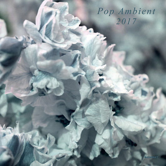 Pop Ambient 2017 |