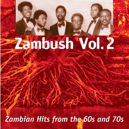 Zambush Vol. 2: Zambian Hits from the 60s and 70s |